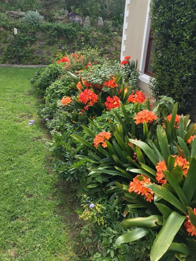 Valley Heights Guest House And B & B Cape Town Dış mekan fotoğraf