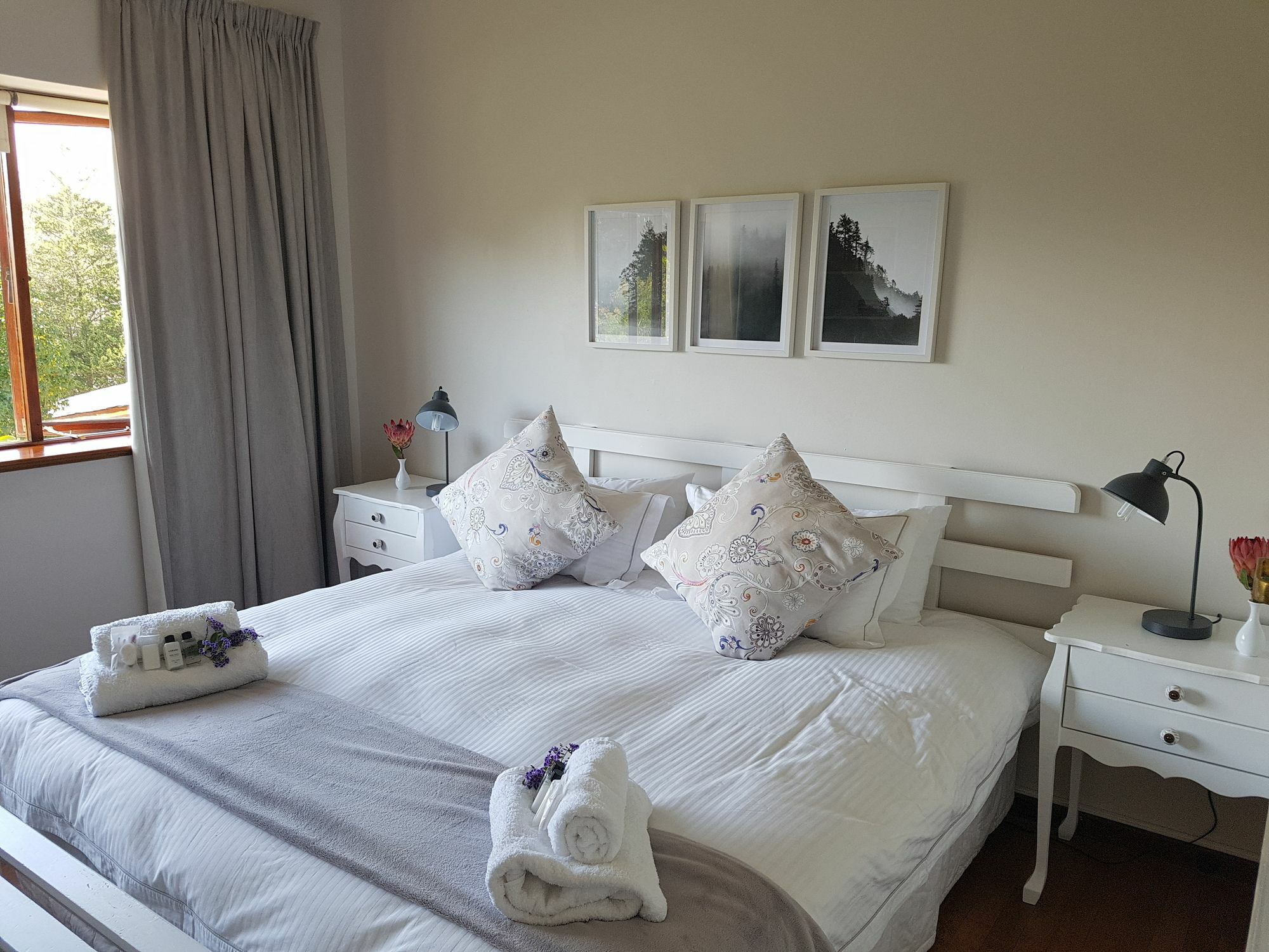 Valley Heights Guest House And B & B Cape Town Dış mekan fotoğraf