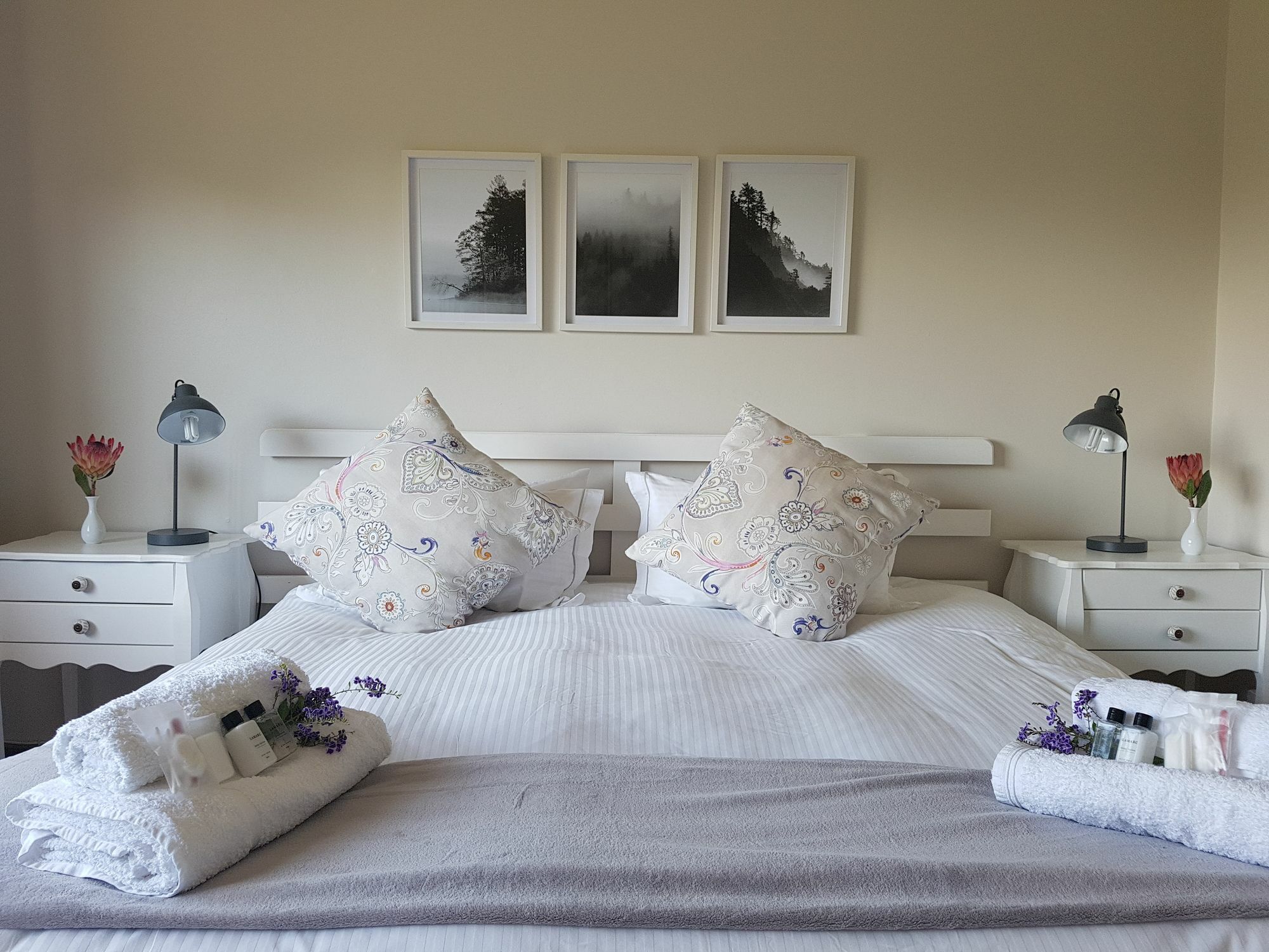 Valley Heights Guest House And B & B Cape Town Dış mekan fotoğraf