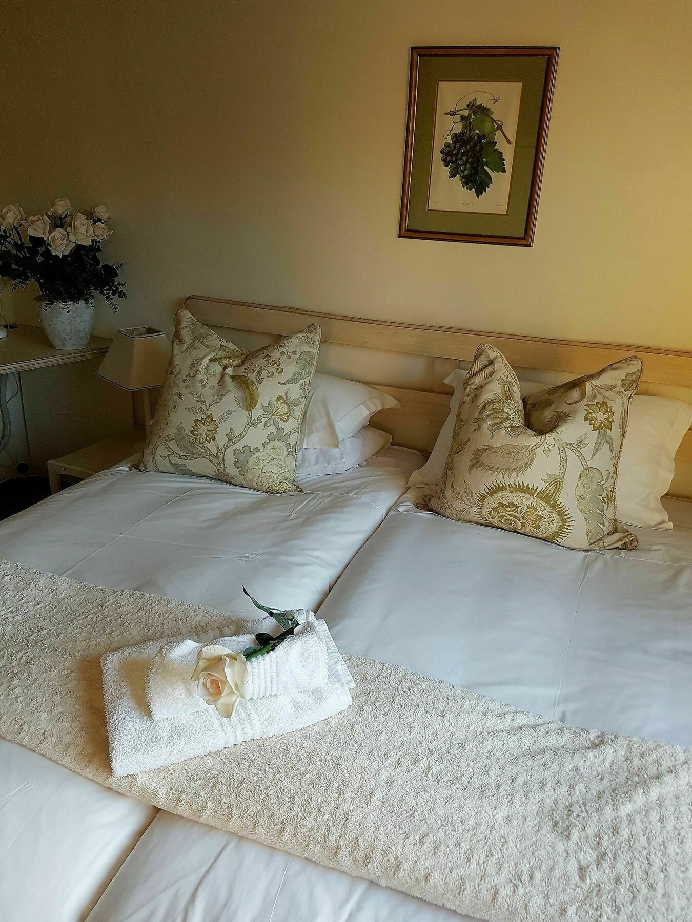 Valley Heights Guest House And B & B Cape Town Dış mekan fotoğraf