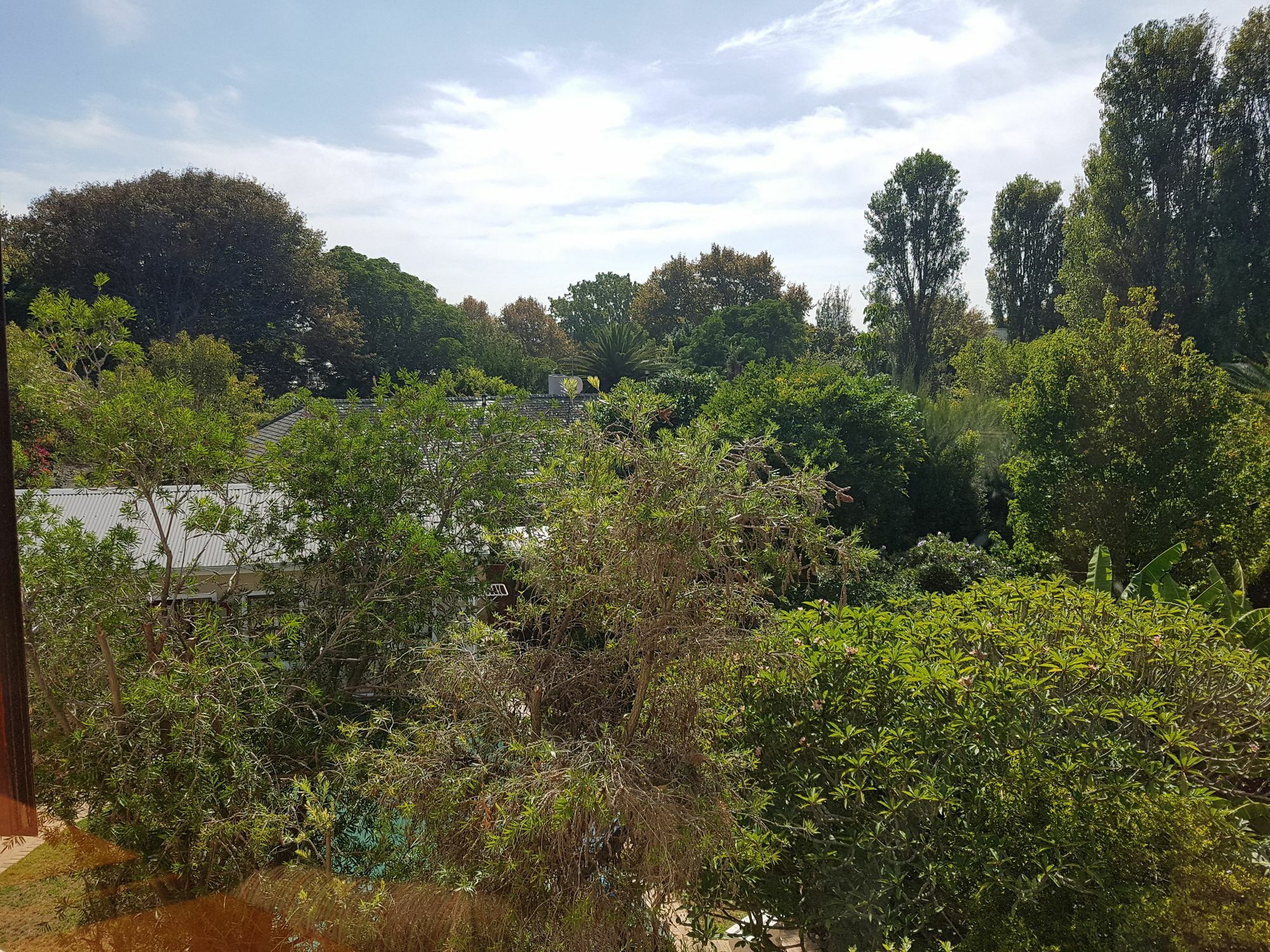 Valley Heights Guest House And B & B Cape Town Dış mekan fotoğraf